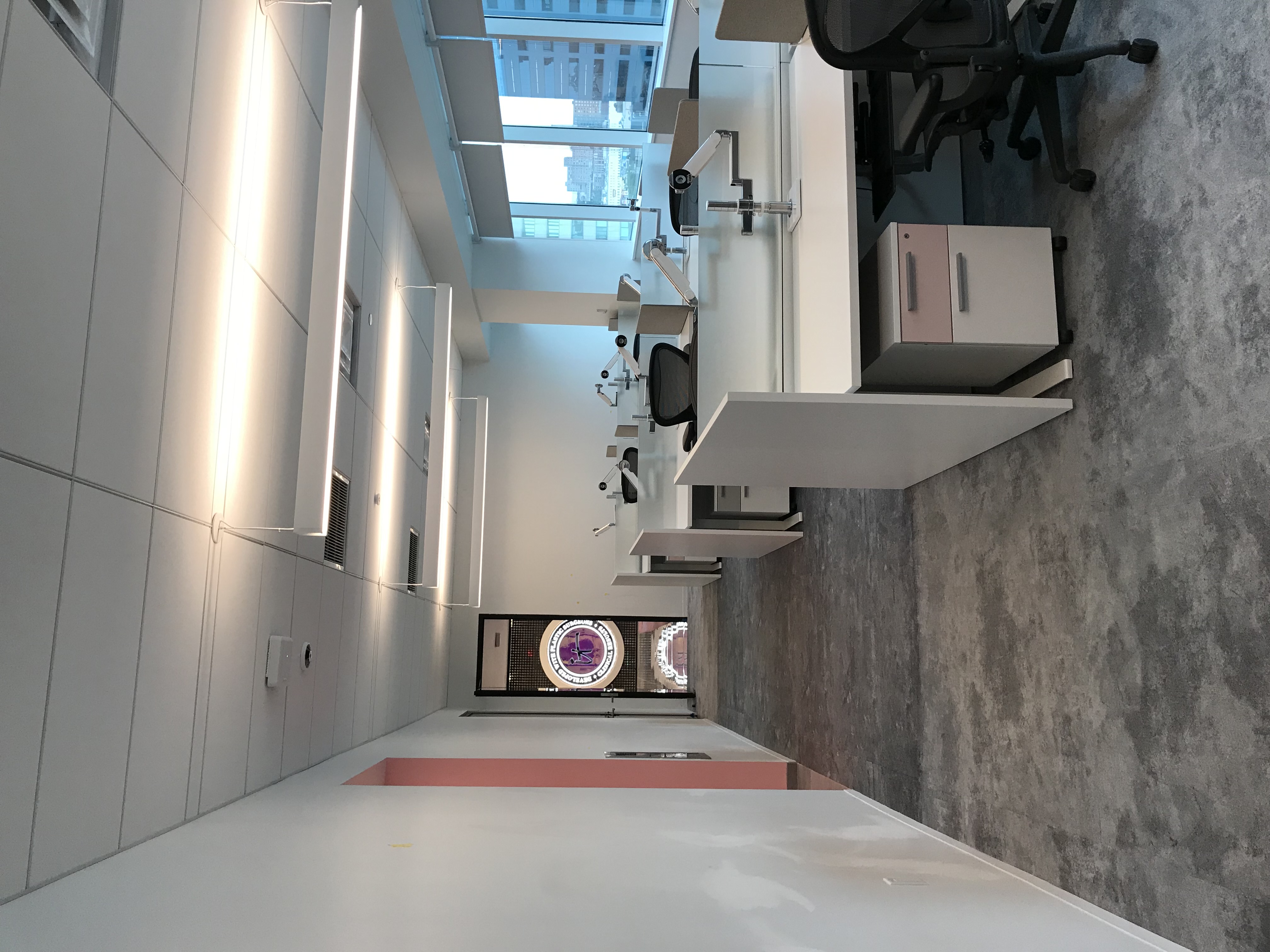 IT Cosmetics Loreal project image 4