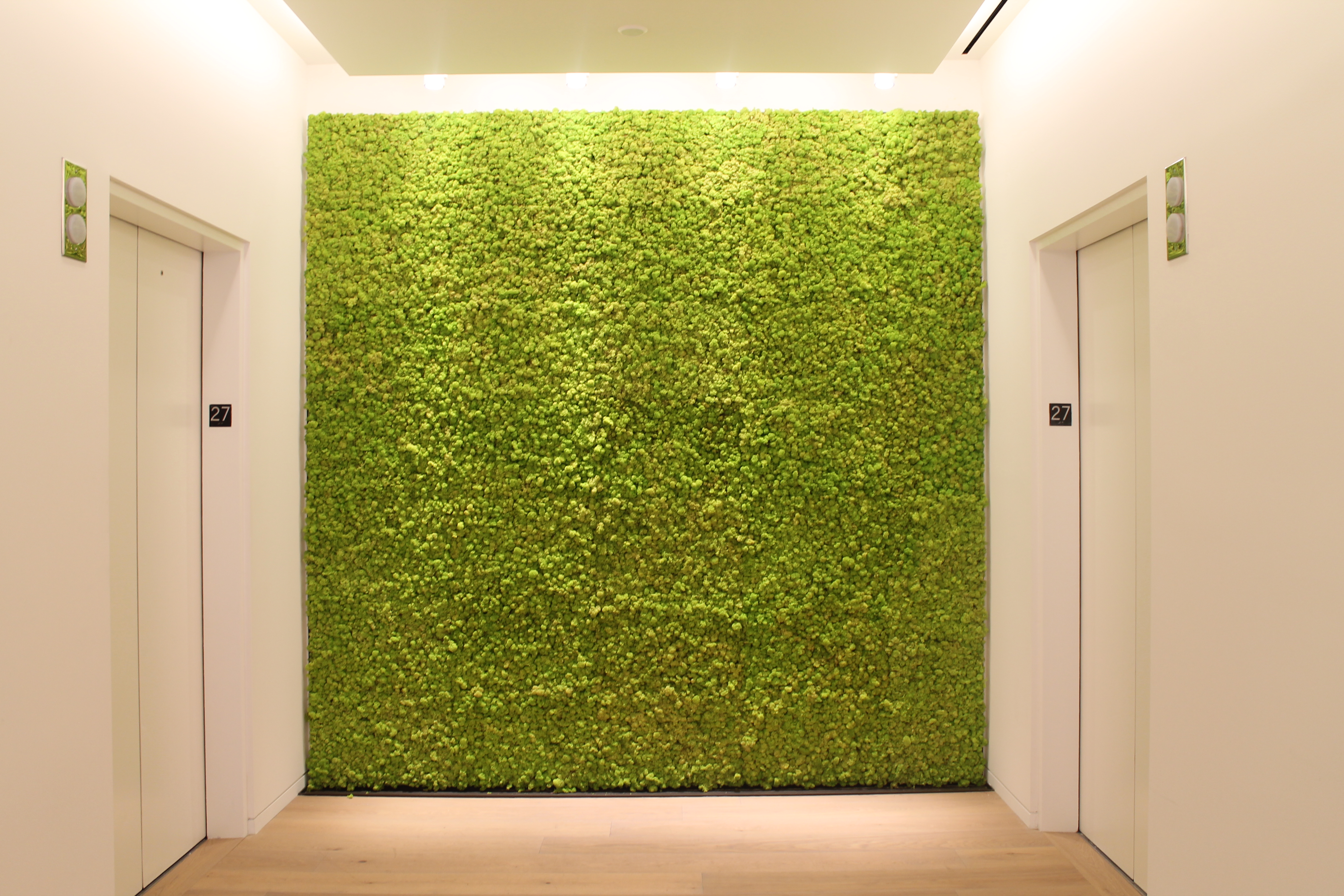 Swarovski project image 3